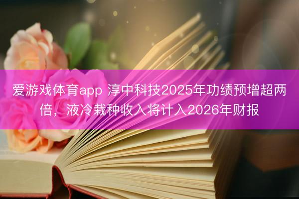 爱游戏体育app 淳中科技2025年功绩预增超两倍，液冷栽种收入将计入2026年财报
