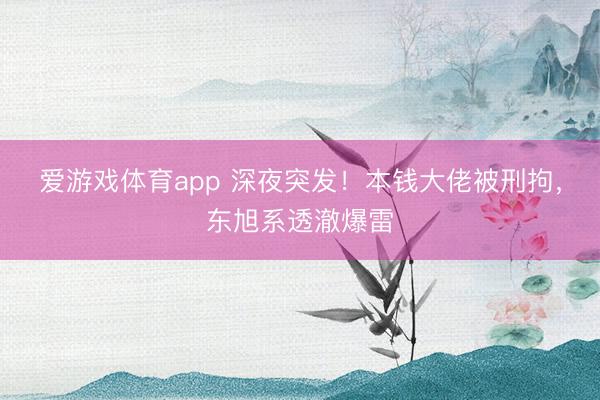 爱游戏体育app 深夜突发！本钱大佬被刑拘，东旭系透澈爆雷