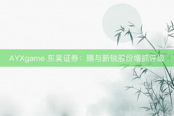 AYXgame 东吴证券：赐与新锐股份增抓评级