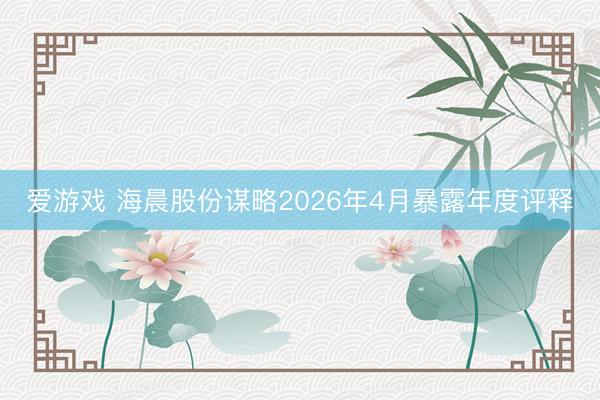 爱游戏 海晨股份谋略2026年4月暴露年度评释
