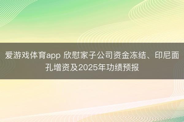 爱游戏体育app 欣慰家子公司资金冻结、印尼面孔增资及2025年功绩预报