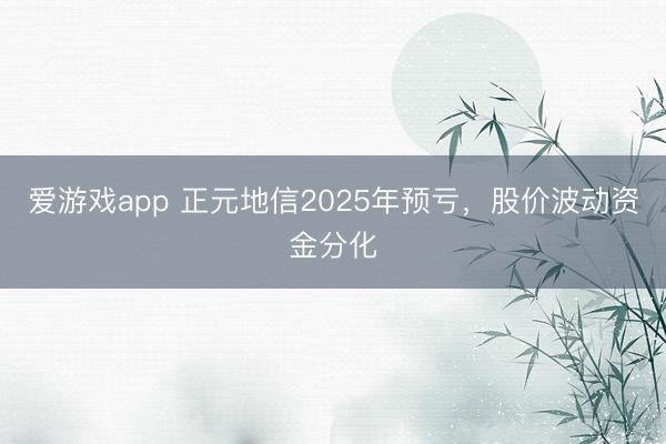 爱游戏app 正元地信2025年预亏，股价波动资金分化