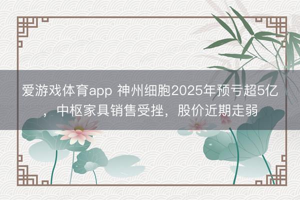 爱游戏体育app 神州细胞2025年预亏超5亿，中枢家具销售受挫，股价近期走弱
