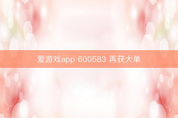 爱游戏app 600583 再获大单