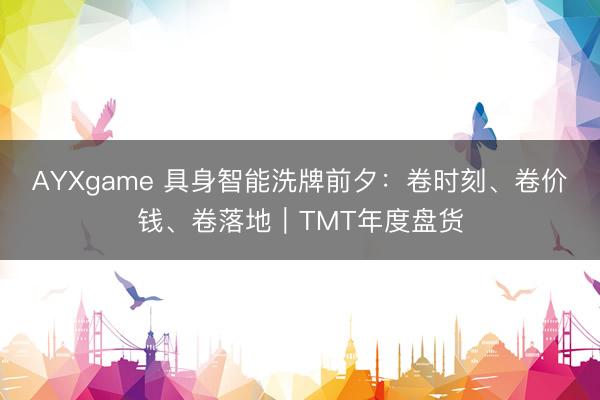 AYXgame 具身智能洗牌前夕：卷时刻、卷价钱、卷落地｜TMT年度盘货