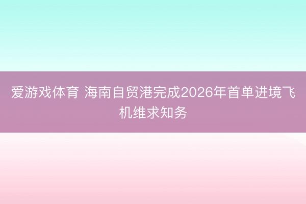 爱游戏体育 海南自贸港完成2026年首单进境飞机维求知务