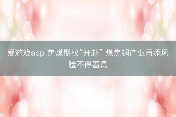 爱游戏app 焦煤期权“开赴” 煤焦钢产业再添风险不停器具