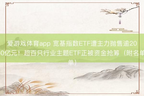 爱游戏体育app 宽基指数ETF遭主力抛售逾2000亿元！超百只行业主题ETF正被资金抢筹（附名单）