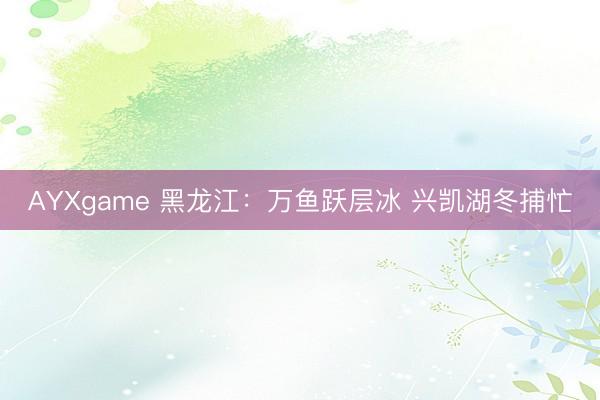 AYXgame 黑龙江:万鱼跃层冰 兴凯湖冬捕忙