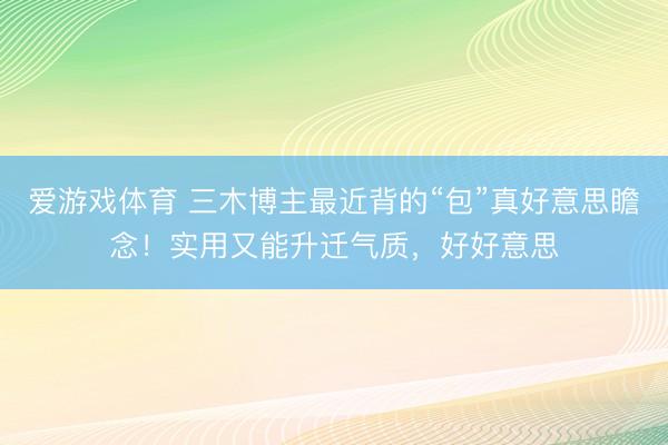 爱游戏体育 三木博主最近背的“包”真好意思瞻念！实用又能升迁气质，好好意思