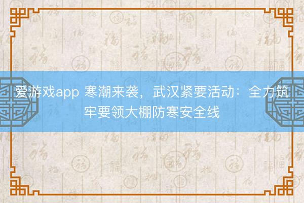 爱游戏app 寒潮来袭，武汉紧要活动：全力筑牢要领大棚防寒安全线