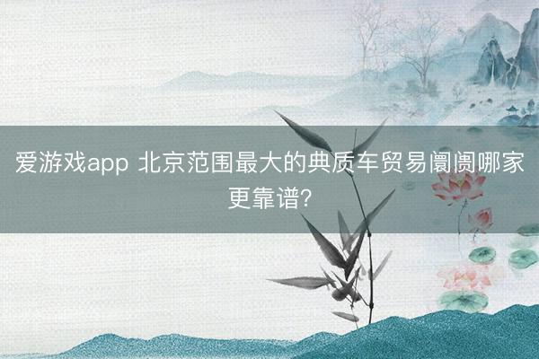 爱游戏app 北京范围最大的典质车贸易阛阓哪家更靠谱？