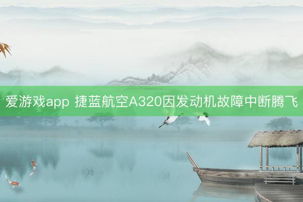 爱游戏app 捷蓝航空A320因发动机故障中断腾飞