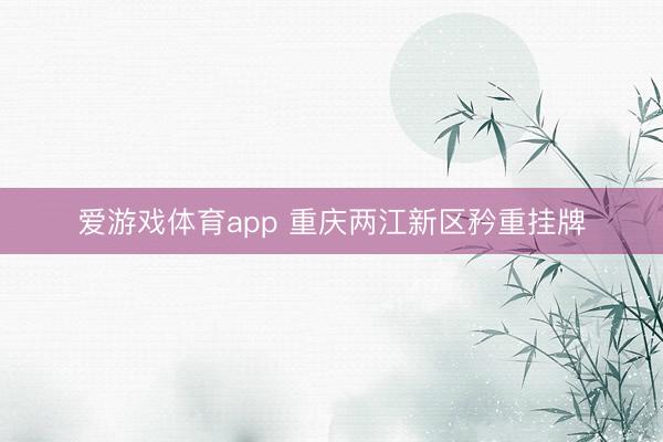 爱游戏体育app 重庆两江新区矜重挂牌