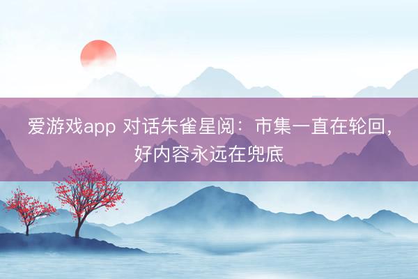 爱游戏app 对话朱雀星阅:市集一直在轮回,好内容永远在兜底