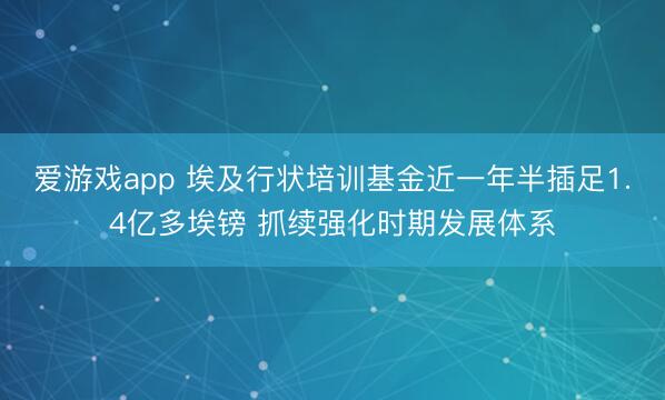爱游戏app 埃及行状培训基金近一年半插足1.4亿多埃镑 抓续强化时期发展体系