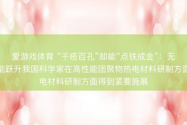 爱游戏体育 “千疮百孔”却能“点铁成金”：无序多孔触发性能跃升我国科学家在高性能团聚物热电材料研制方面得到紧要施展