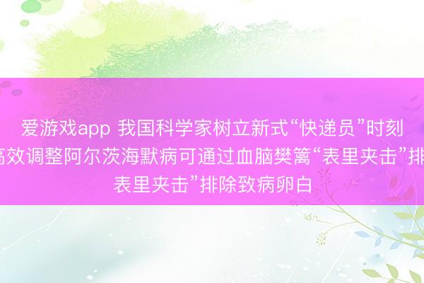 爱游戏app 我国科学家树立新式“快递员”时刻 有望安全高效调整阿尔茨海默病可通过血脑樊篱“表里夹击”排除致病卵白