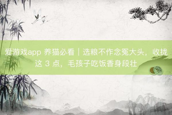 爱游戏app 养猫必看｜选粮不作念冤大头，收拢这 3 点，毛孩子吃饭香身段壮