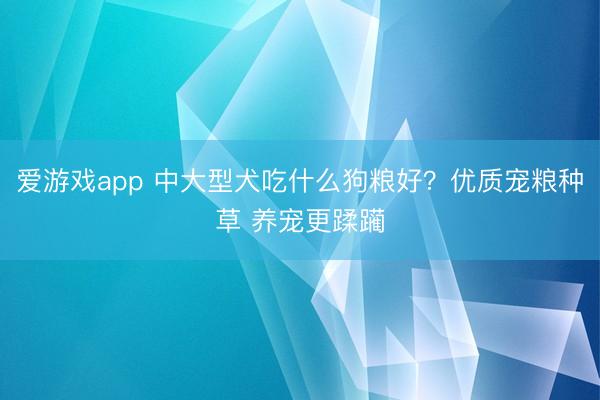 爱游戏app 中大型犬吃什么狗粮好?优质宠粮种草 养宠更蹂躏