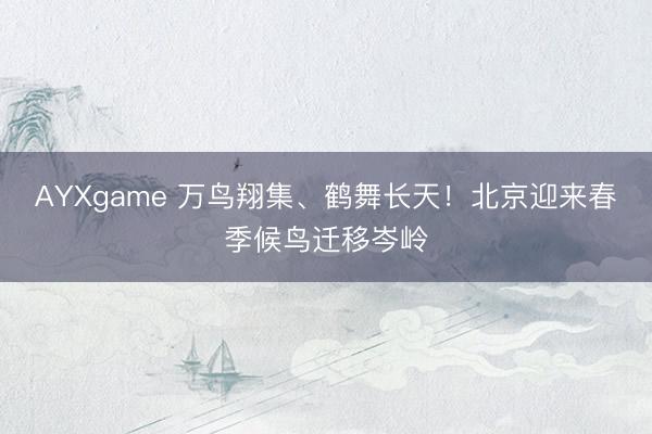AYXgame 万鸟翔集、鹤舞长天！北京迎来春季候鸟迁移岑岭