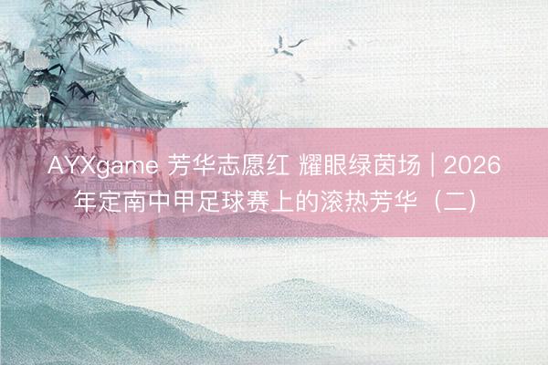 AYXgame 芳华志愿红 耀眼绿茵场 | 2026年定南中甲足球赛上的滚热芳华(二)