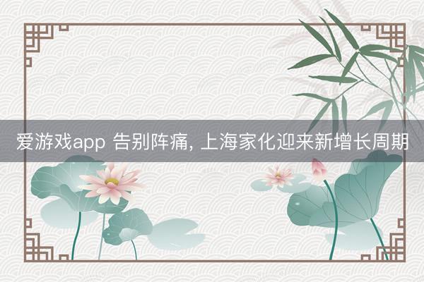 爱游戏app 告别阵痛， 上海家化迎来新增长周期