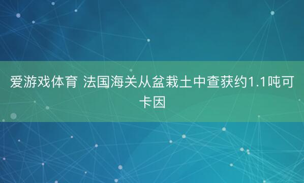 爱游戏体育 法国海关从盆栽土中查获约1.1吨可卡因