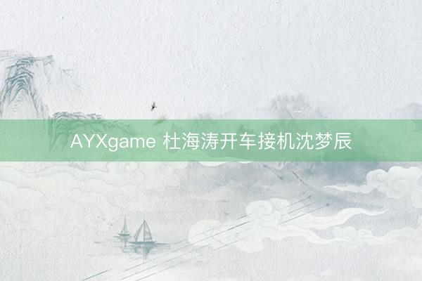 AYXgame 杜海涛开车接机沈梦辰