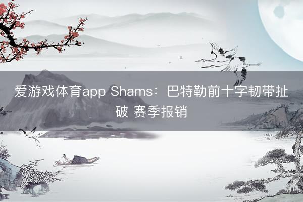 爱游戏体育app Shams：巴特勒前十字韧带扯破 赛季报销