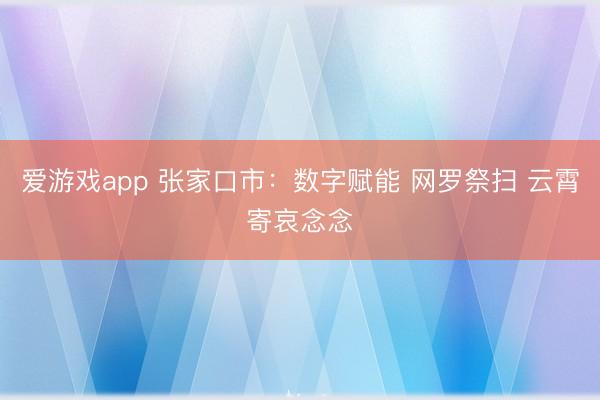 爱游戏app 张家口市：数字赋能 网罗祭扫 云霄寄哀念念
