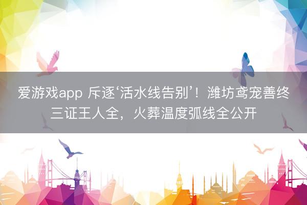 爱游戏app 斥逐‘活水线告别’!潍坊鸢宠善终三证王人全,火葬温度弧线全公开