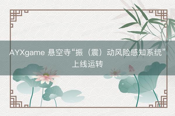 AYXgame 悬空寺“振(震)动风险感知系统”上线运转