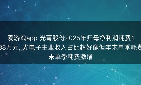 爱游戏app 光莆股份2025年归母净利润耗费1274.88万元， 光电子主业收入占比超好像但年末单季耗费激增