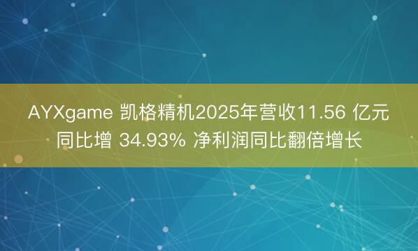 AYXgame 凯格精机2025年营收11.56 亿元同比增 34.93% 净利润同比翻倍增长