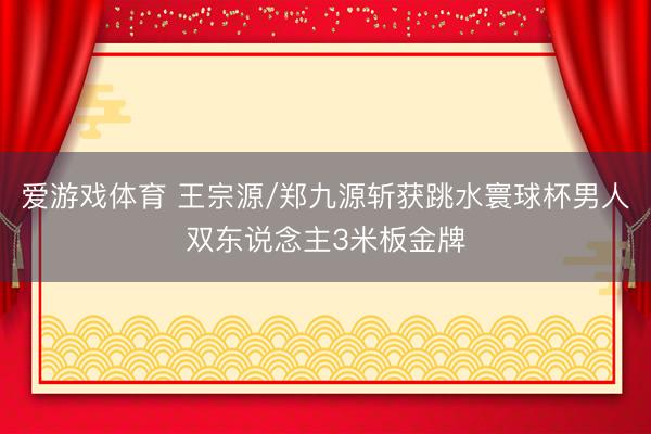 爱游戏体育 王宗源/郑九源斩获跳水寰球杯男人双东说念主3米板金牌