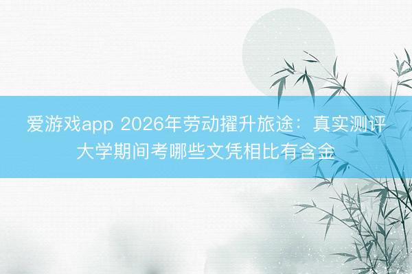 爱游戏app 2026年劳动擢升旅途：真实测评大学期间考哪些文凭相比有含金