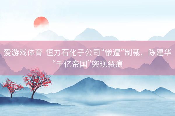 爱游戏体育 恒力石化子公司“惨遭”制裁，陈建华“千亿帝国”突现裂痕