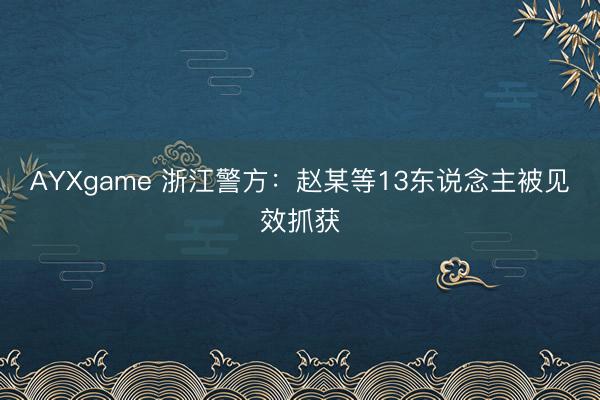AYXgame 浙江警方：赵某等13东说念主被见效抓获