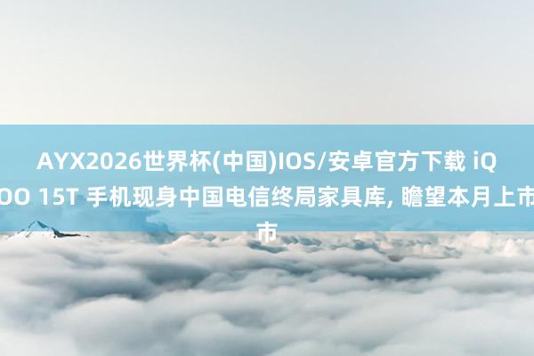 AYX2026世界杯(中国)IOS/安卓官方下载 iQOO 15T 手机现身中国电信终局家具库， 瞻望本月上市