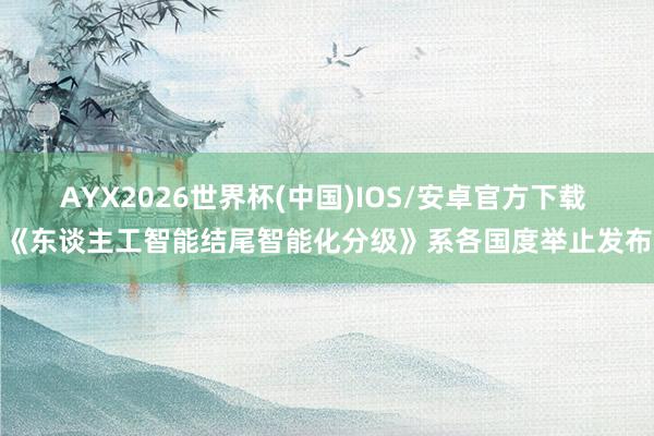 AYX2026世界杯(中国)IOS/安卓官方下载 《东谈主工智能结尾智能化分级》系各国度举止发布
