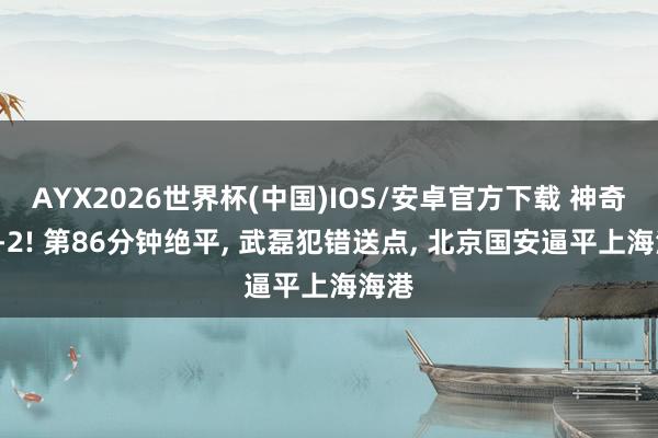 AYX2026世界杯(中国)IOS/安卓官方下载 神奇的2-2! 第86分钟绝平， 武磊犯错送点， 北京国安逼平上海海港
