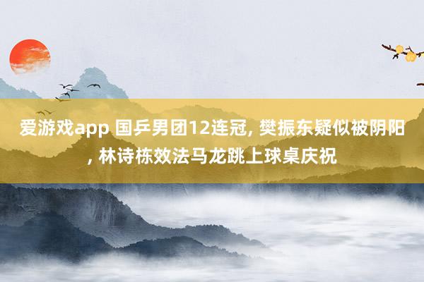 爱游戏app 国乒男团12连冠， 樊振东疑似被阴阳， 林诗栋效法马龙跳上球桌庆祝