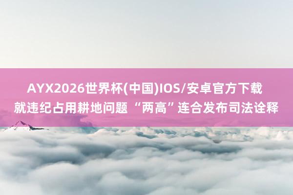 AYX2026世界杯(中国)IOS/安卓官方下载 就违纪占用耕地问题 “两高”连合发布司法诠释
