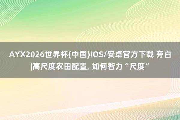 AYX2026世界杯(中国)IOS/安卓官方下载 旁白|高尺度农田配置， 如何智力“尺度”