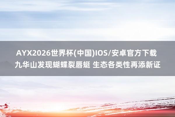 AYX2026世界杯(中国)IOS/安卓官方下载 九华山发现蝴蝶裂唇蜓 生态各类性再添新证