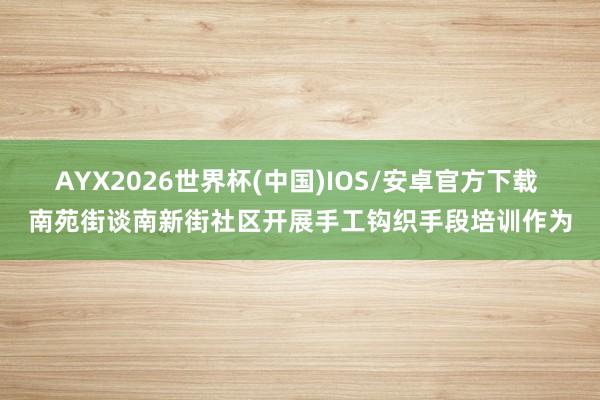 AYX2026世界杯(中国)IOS/安卓官方下载 南苑街谈南新街社区开展手工钩织手段培训作为