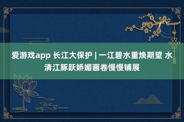 爱游戏app 长江大保护 | 一江碧水重焕期望 水清江豚跃娇媚画卷慢慢铺展