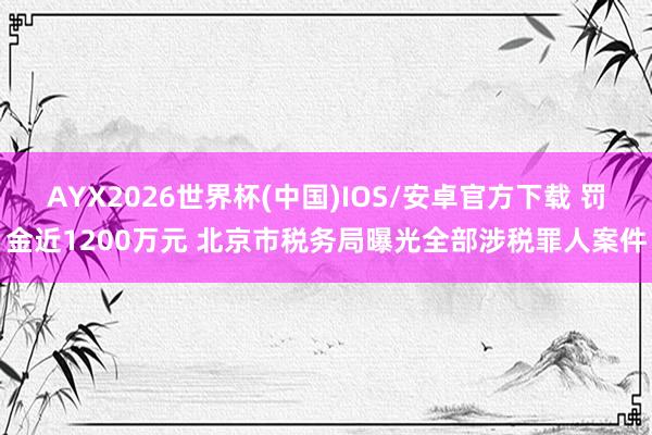 AYX2026世界杯(中国)IOS/安卓官方下载 罚金近1200万元 北京市税务局曝光全部涉税罪人案件