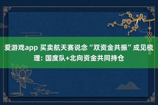 爱游戏app 买卖航天赛说念“双资金共振”成见梳理: 国度队+北向资金共同持仓